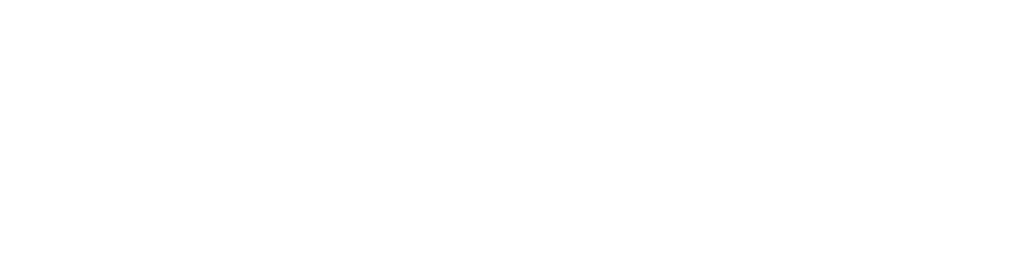 verivo